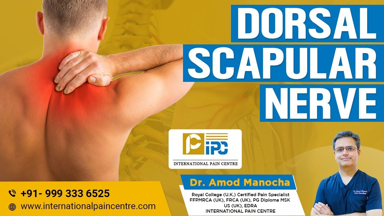 Dorsal Scapular Nerve Entrapment & Scapular Pain: Anatomy, Diagnosis & Ultrasound-Guided Treatment