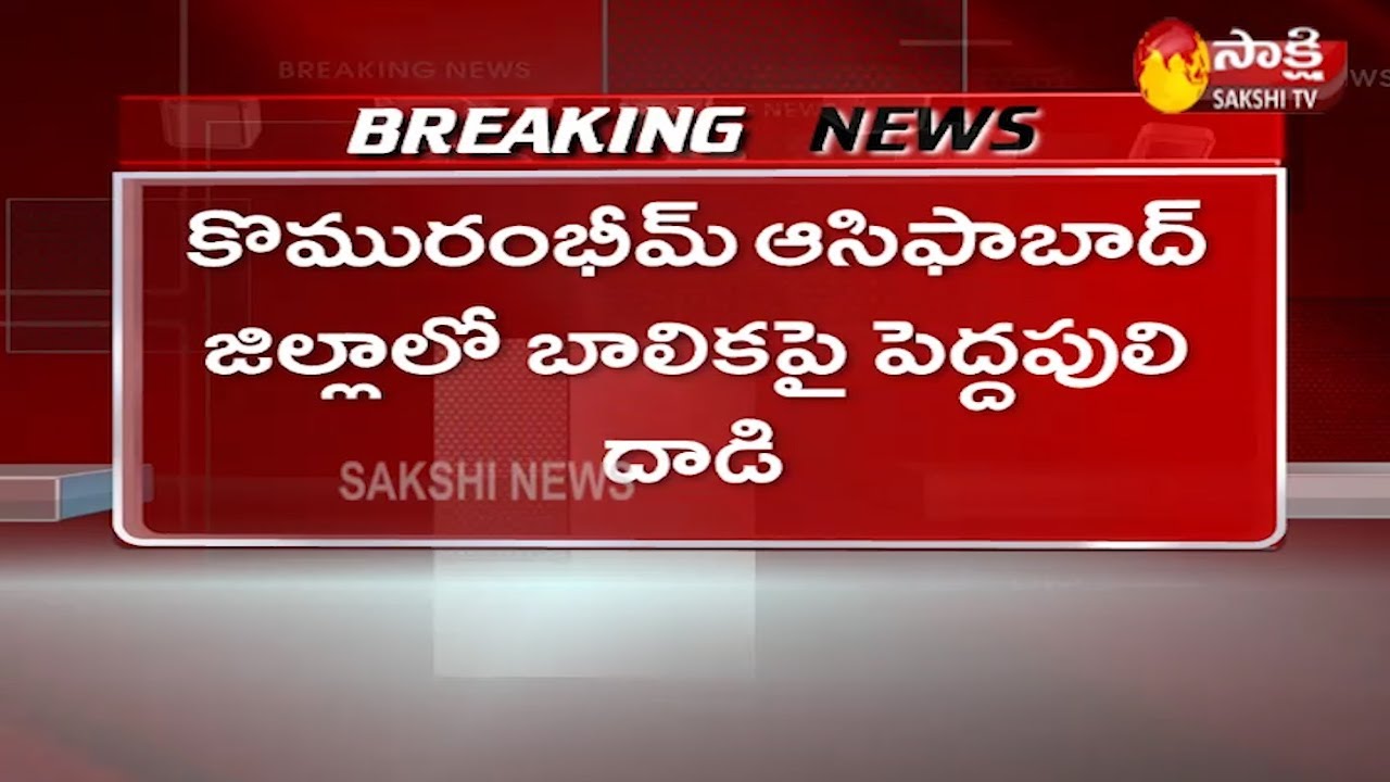 Tiger attack on a Girl in Komaram Bheem  Asifabad district | Sakshi TV