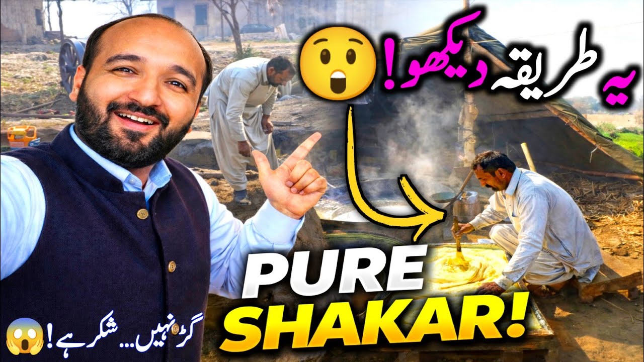 Village Life Pakistan | Pure Desi Shakar Making with Belna A to Z | Traditional Jaggery Process