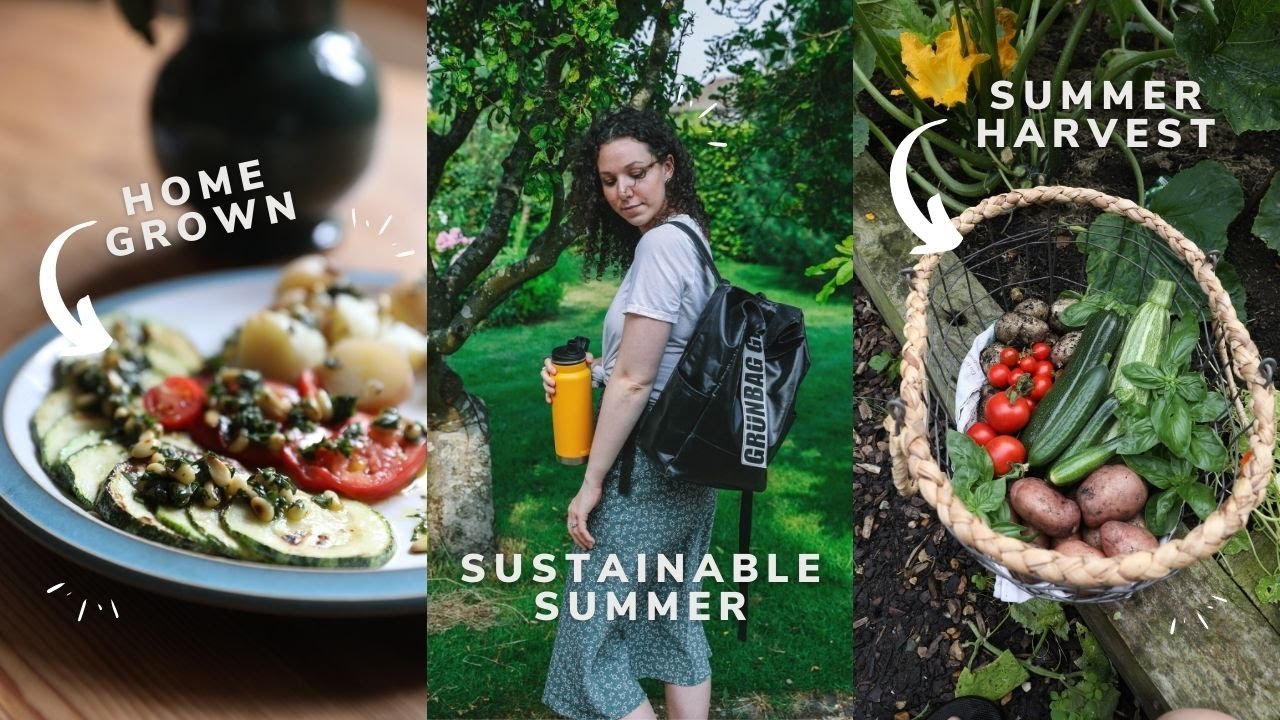 Zero waste living: 🌸🐝🥬  Daily Habits & Harvesting Food