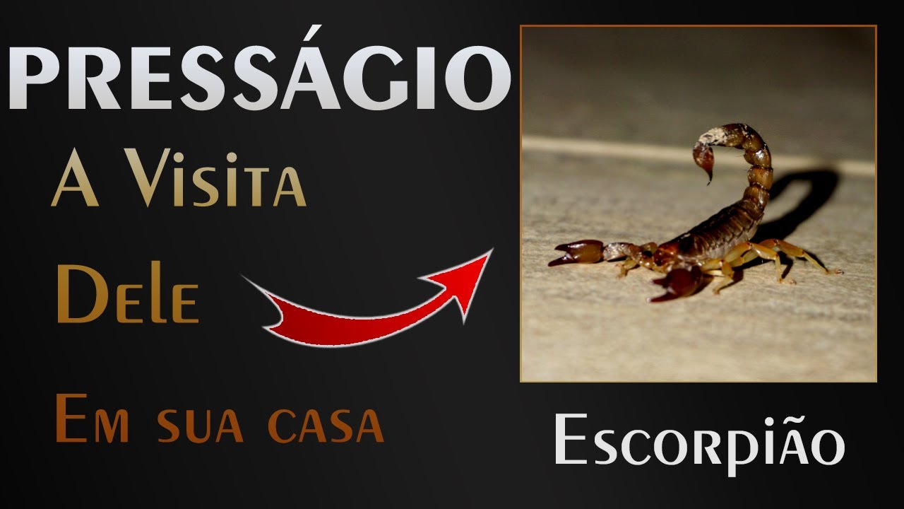 🏡 Press&aacute;gio do Escorpi&atilde;o - Qual o Alerta que ele veio nos passar?