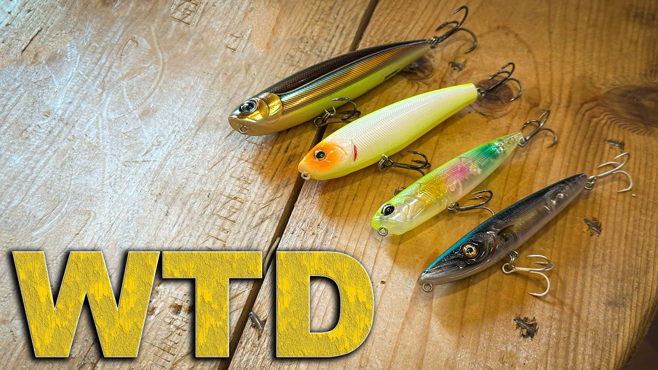PESCA a Spinning WTD: La CHIAVE per un ASSETTO PERFETTO in ogni CONDIZIONE