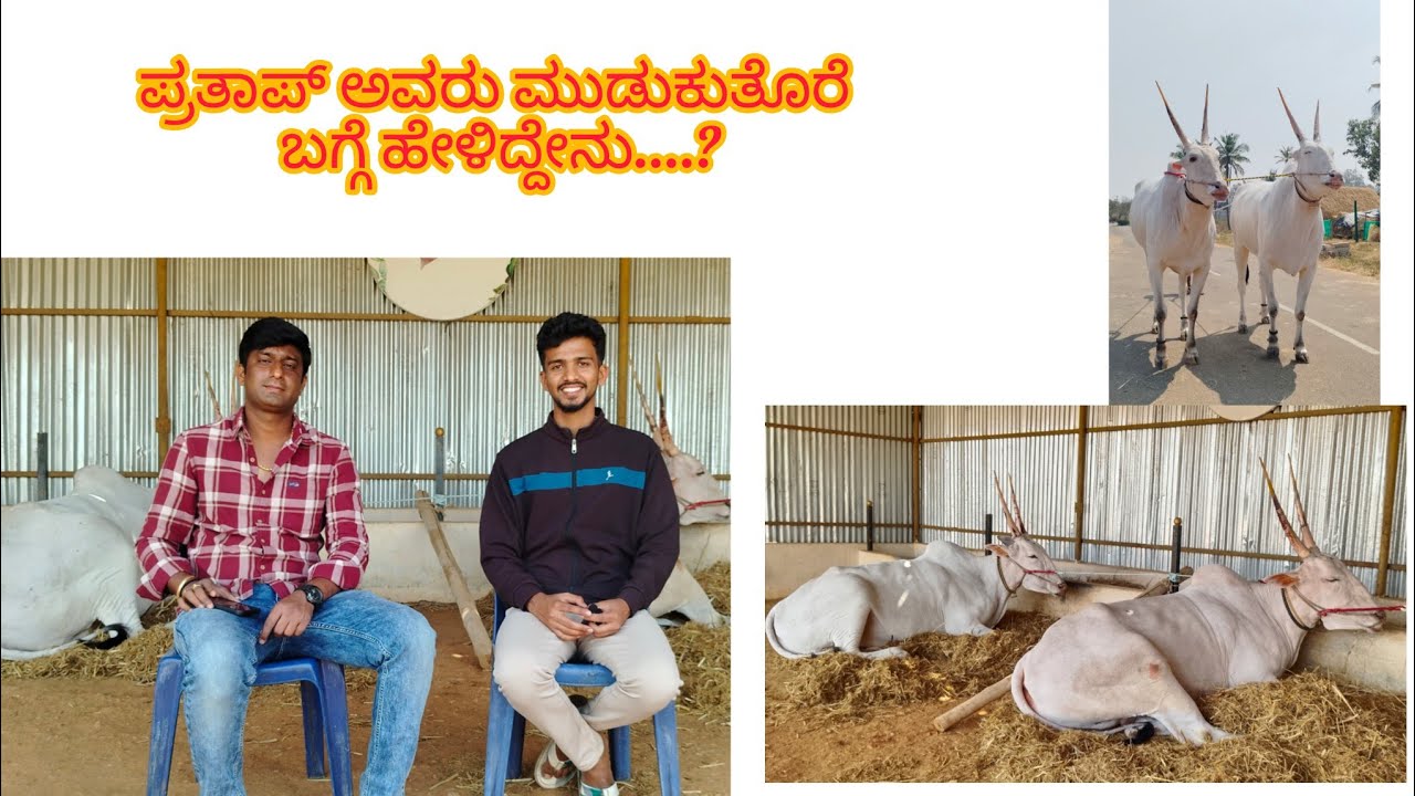 ಪ್ರತಾಪ್ ಅವರು ಮುಡುಕುತೊರೆ ಜಾತ್ರೆಯ ಬಗ್ಗೆ ಹೇಳಿದ್ದೇನೆ