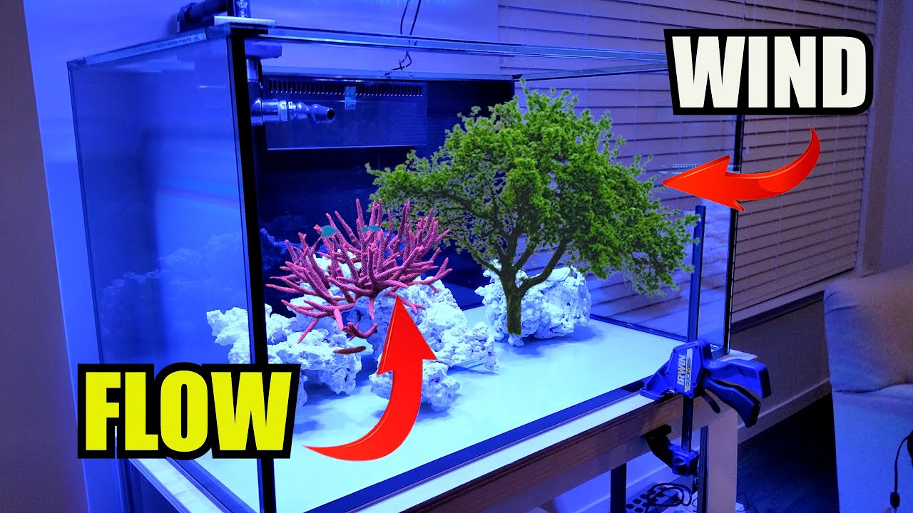 How to Create Wind-Like Water Circulation in Your Saltwater Reef Aquarium