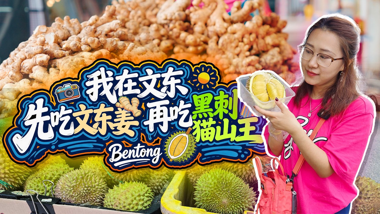 🇲🇾文冬先吃文东姜再吃猫山王黑刺 文冬不只有姜！榴莲控必看：猫山王霸道浓郁，黑刺香甜清爽，你pick哪个？