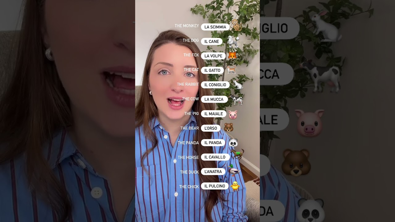 Learn Italian animals #italy #italiaonline #italianphrases
