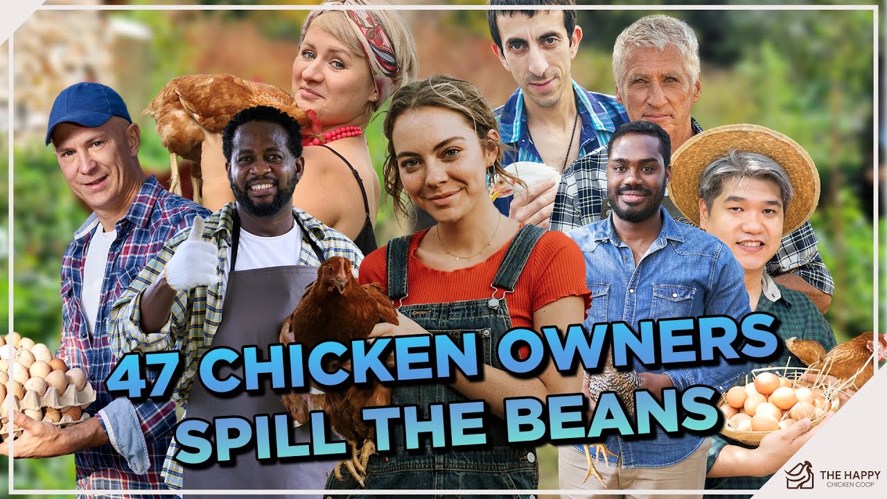Hindsight is 20/20: 47 Chicken Keepers Spill Their Secrets and Regrets from Experience!