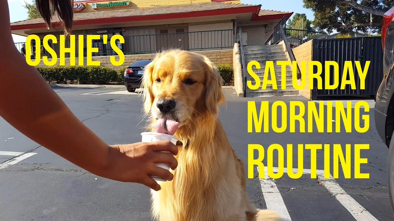 OSHIE'S SATURDAY MORNING ROUTINE | Oshies World
