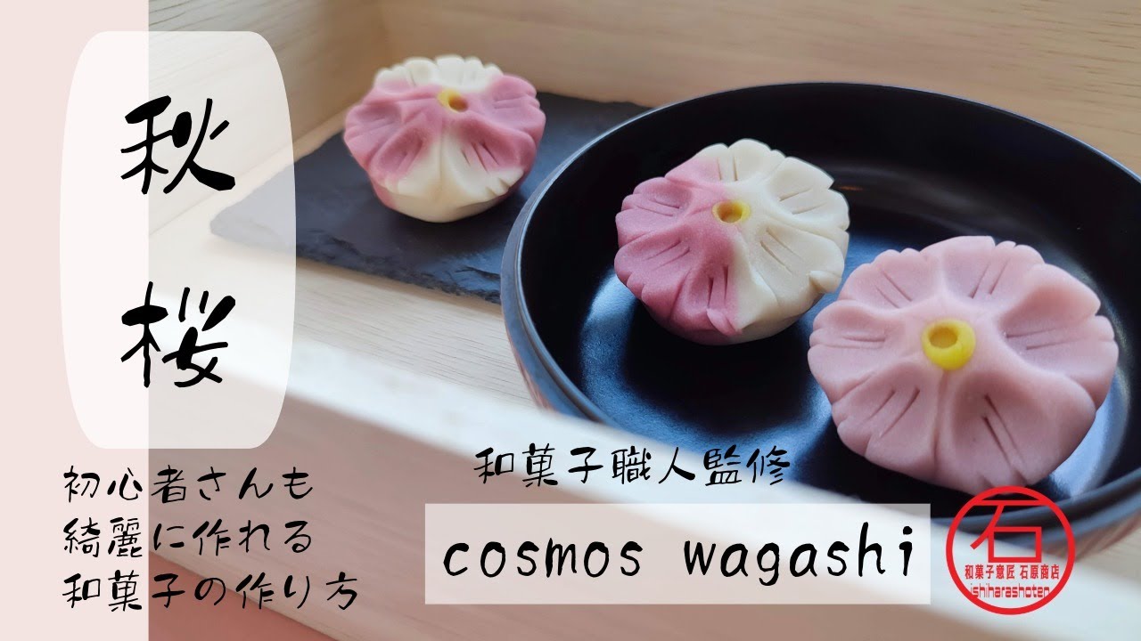 和菓子職人監修 失敗なしでキレイに作れる和菓子の作り方 秋桜 練り切り 上生菓子  練り切りあんの作り方はキャプションにあり  How to make cosmos wagashi