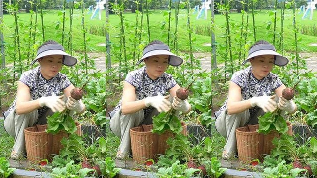 努力让生活有滋有味，让胃感到充实，心也是满满的#千万生活dou来拍