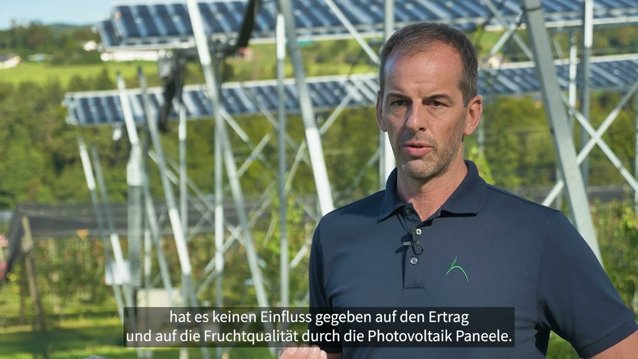 Agri-Photovoltaik in Haidegg - Ein Good Practice Beispiel