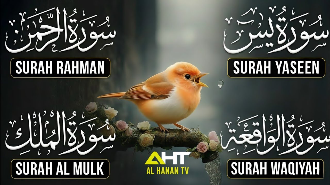 Soothing & Beautiful Surah Yaseen | Surah Rahman | Surah Waqiah | Surah Mulk 
