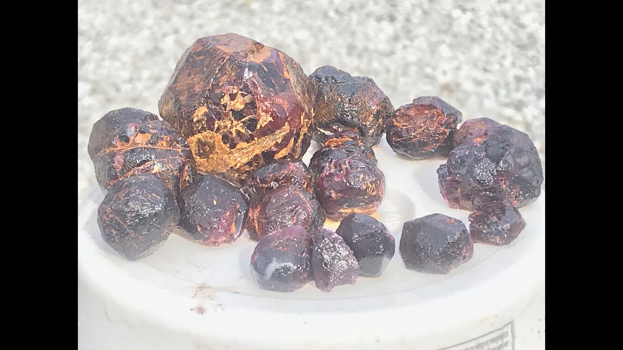 Huckleberry Garnets Dig Idaho