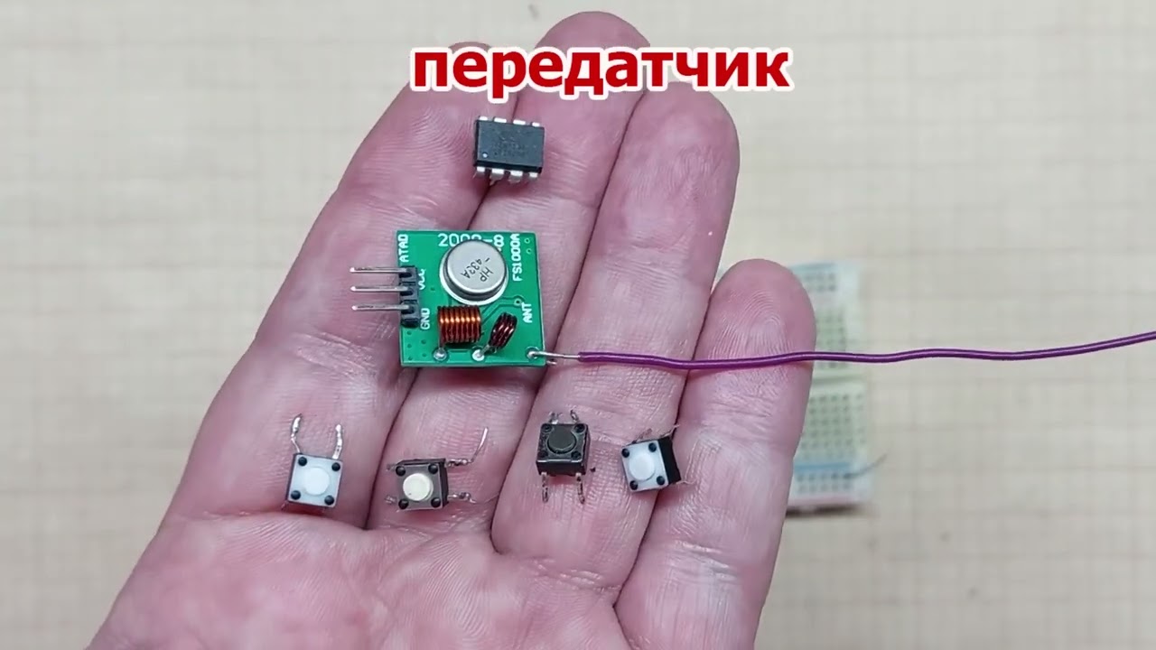 Четыре команды успешно повелевают