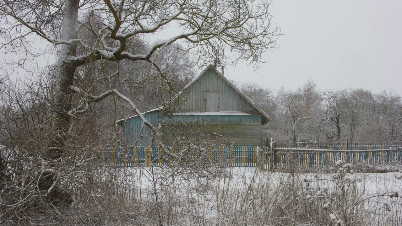 Гадовичи зимой