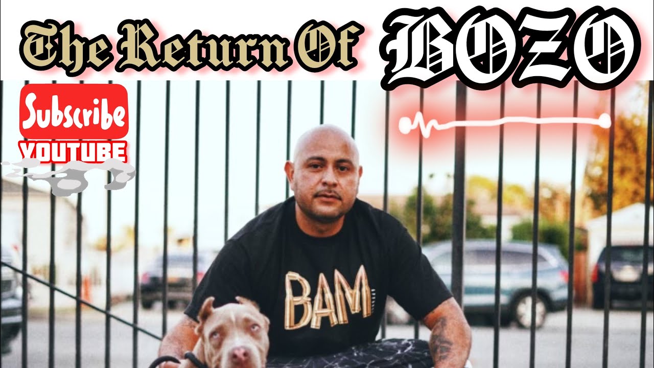 The Return Of BOZO #124