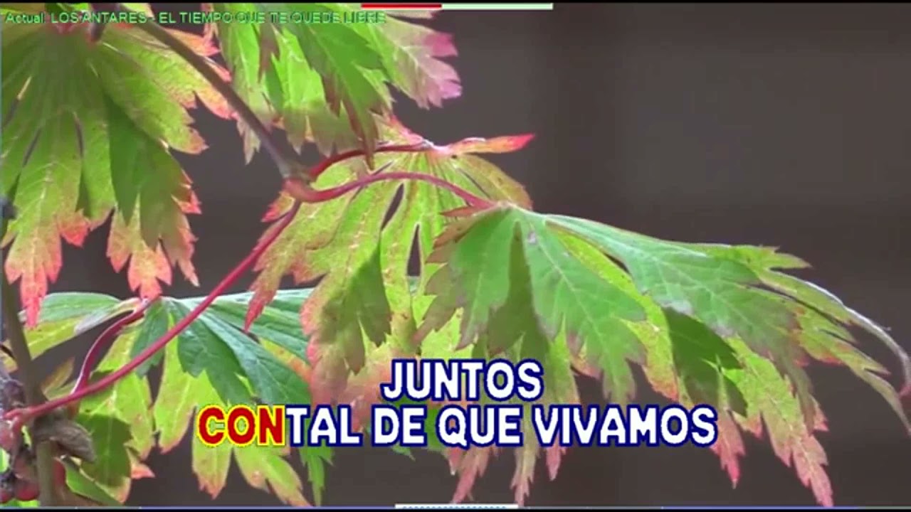 EL TIEMPO QUE TE QUEDE LIBRE   LOS ANTARES  KARAOKE