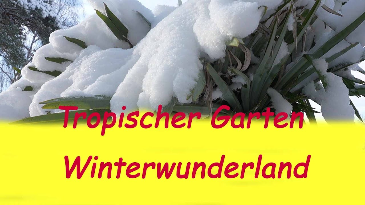 Tropischer Garten im Winterwunderland