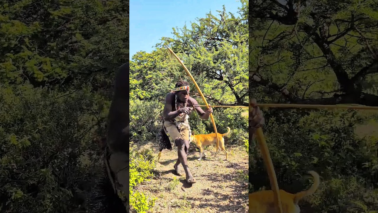 Ancient Hunting Methods of Africa | Tribal Deer Hunt.#shortvideo #wildlife