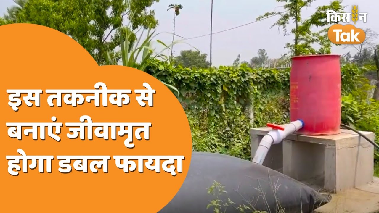 Digestor Bag: इस तकनीक से आसानी से बनाएं जीवामृत, जानें क्या है प्रोसेस| Kisan Tak