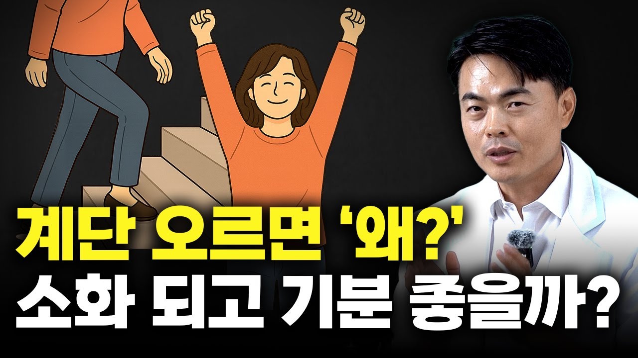 하는 일이 다 잘 되는 원리, 과학적인 이유가 있습니다 (계단 통합본)