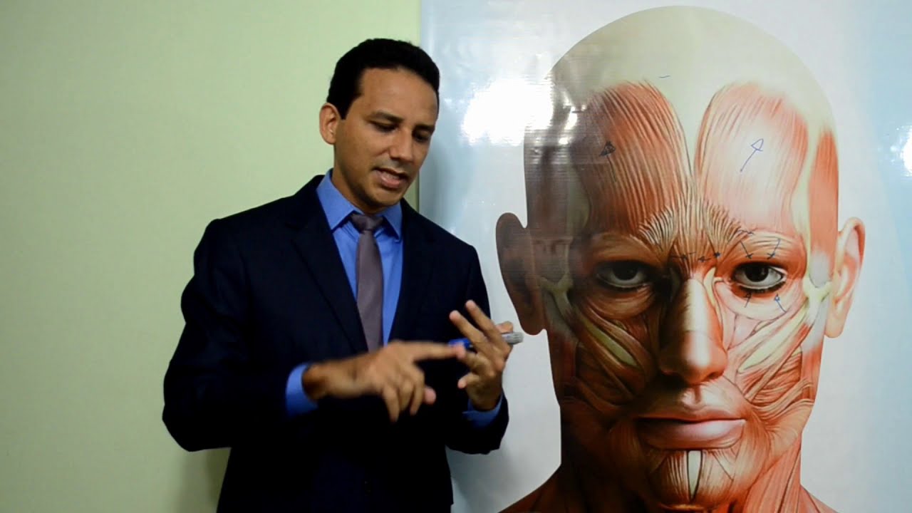 Aula 04 Músculo da Face: CURSO ONLINE de Toxina Botulínica