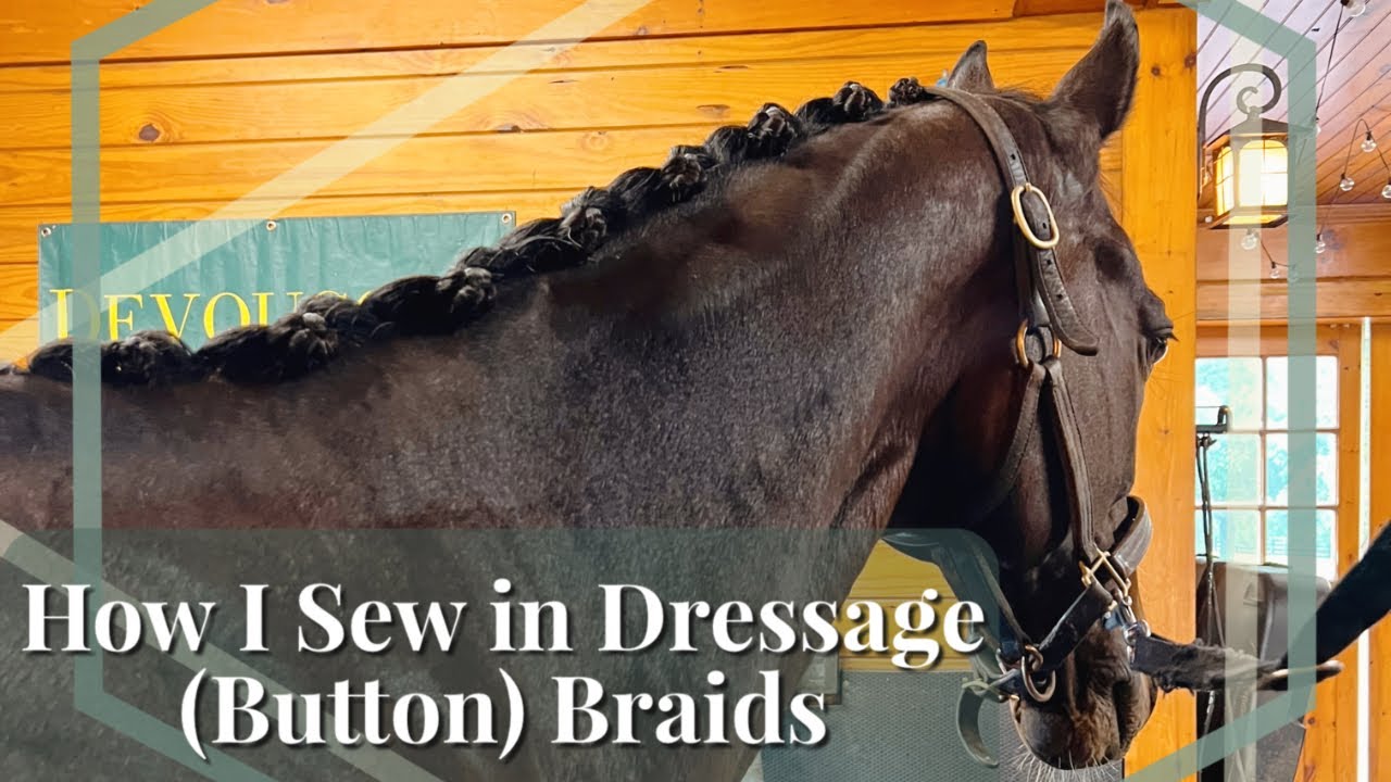 How To Do Sew In Dressage Braids / Plaits (Button Braids!!) // My Favorite Method