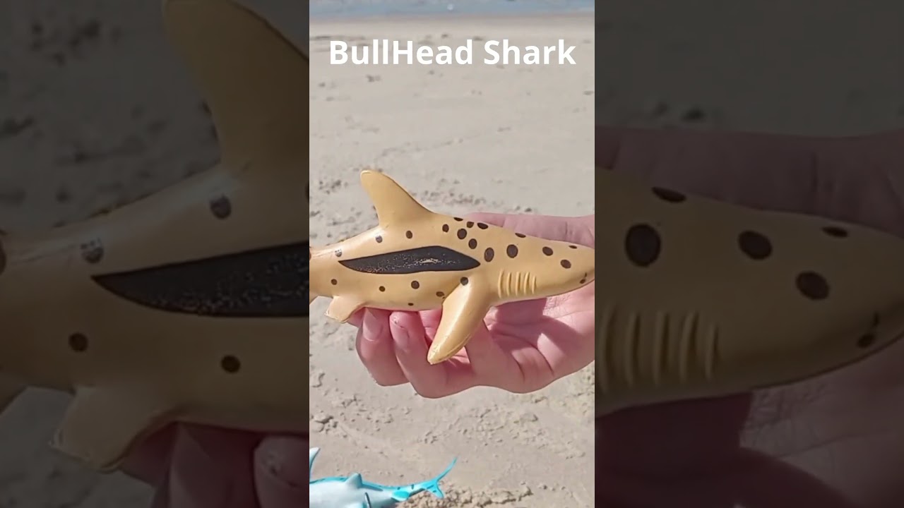 Abrindo Brinquedos: Abrindo Kit De Animais Marinhos De Brinquedo. #shark  #toys #animals #brinquedos