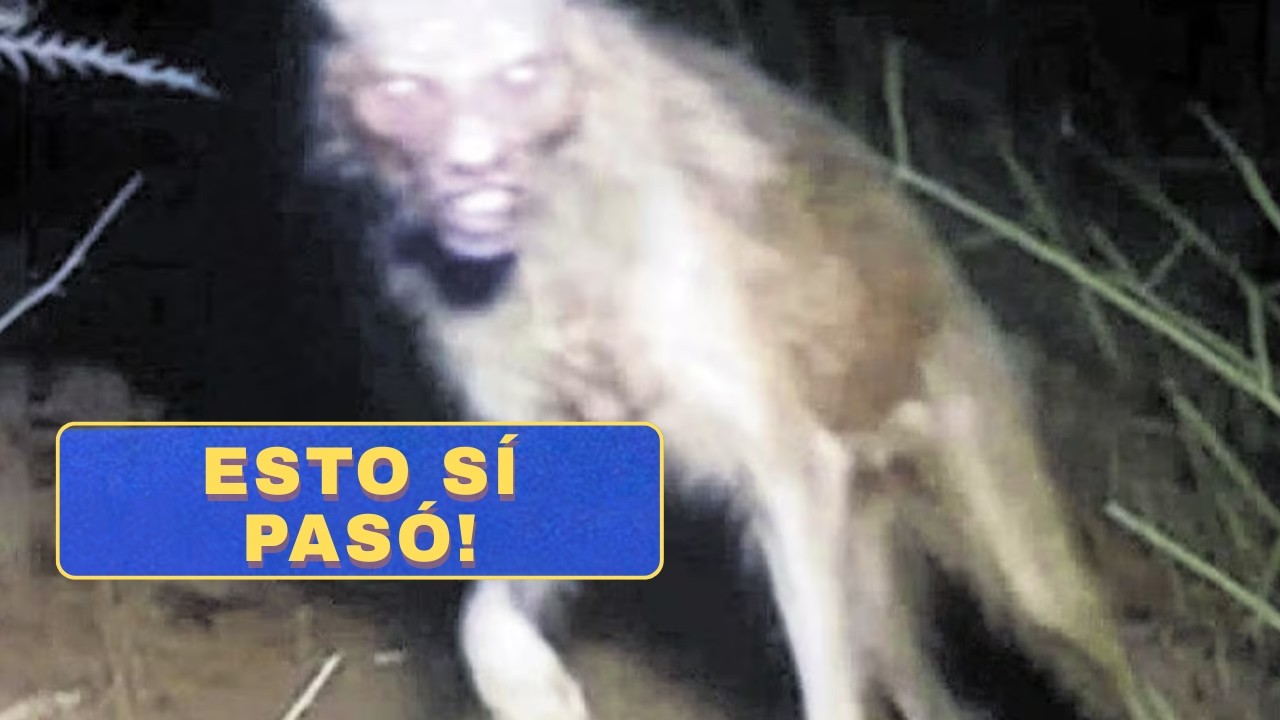 Los casos REALES más WTF de monstruos en México