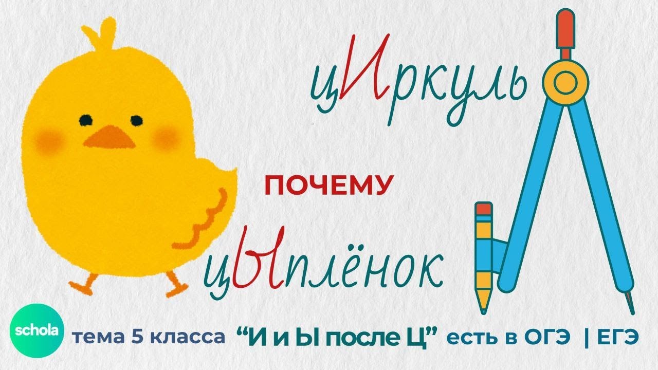 И и Ы после Ц | Русский язык | Обучающий блог от schola