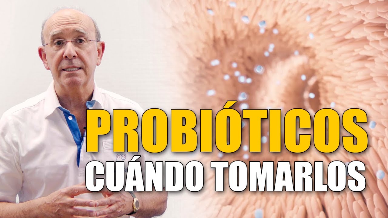 🧬​ Esto debes saber sobre los probióticos
