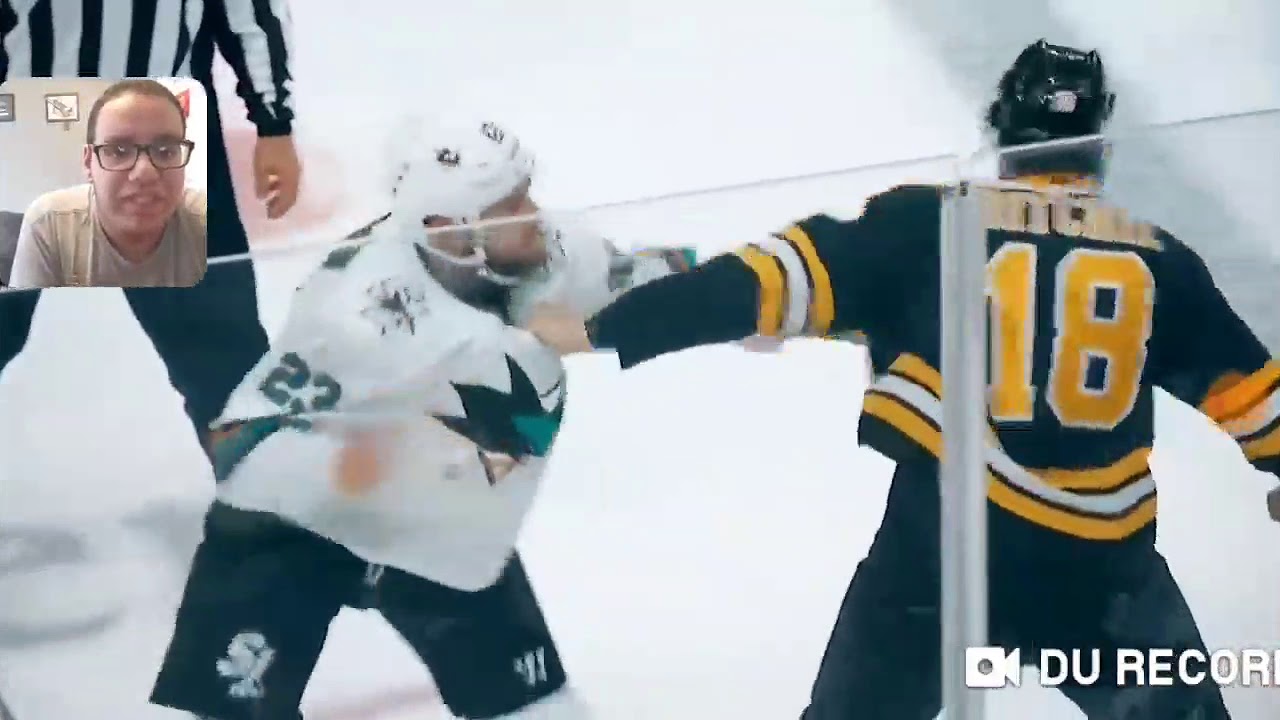 The  19 best NHL's fight 2019