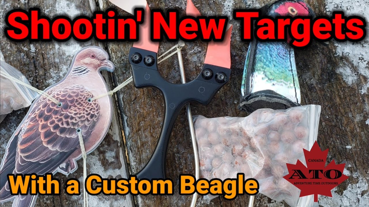 Custom Beagle, New Targets and Where I've Been.