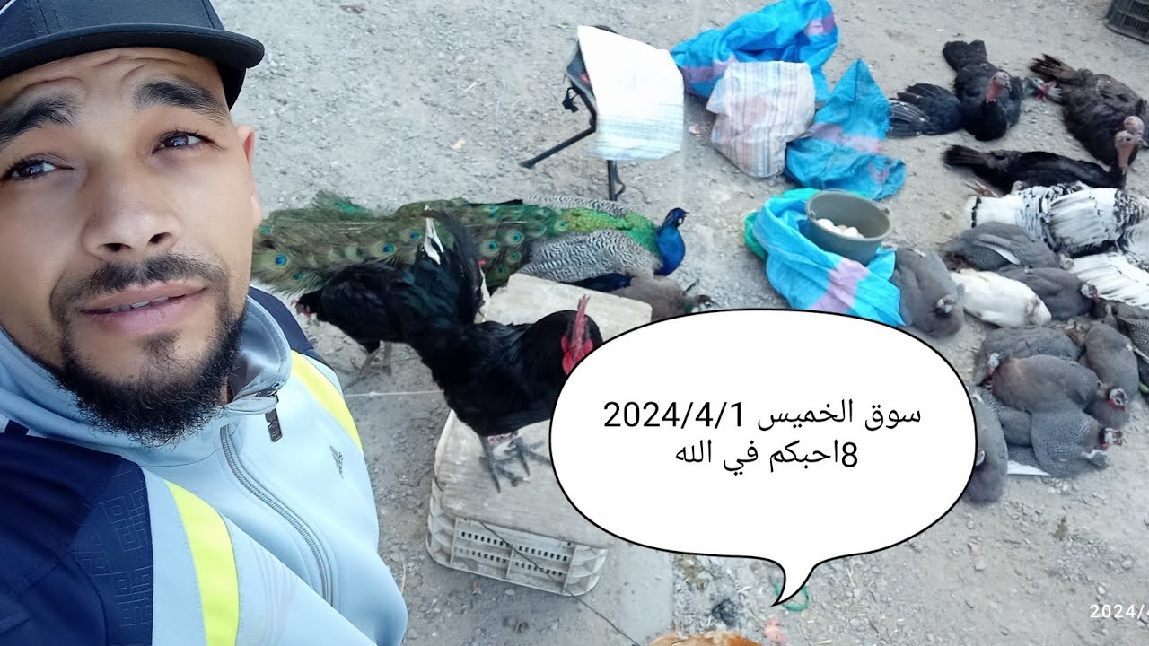 سوق الخميس 2024/4/18مدينة وزان جزاكم الله كل الخير على تفاعلكم مع هاته القناة الصغيرة