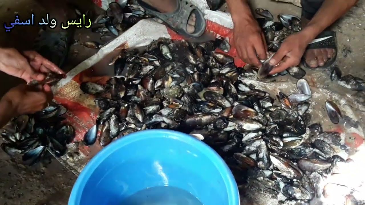 شاطئ سيدي بودالة..حقائق لاول مرة...