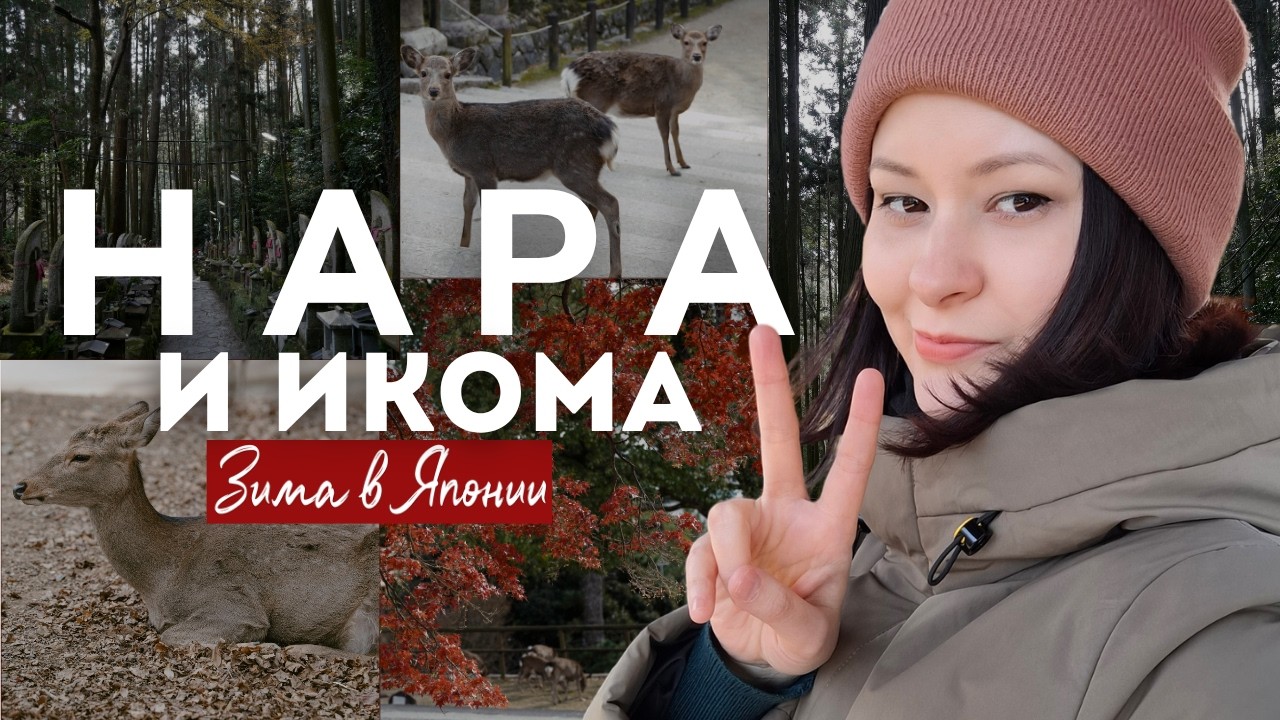 ЗИМА В ЯПОНИИ │ Храм Хозан-дзи на горе Икома и 1000 оленей в городе Нара