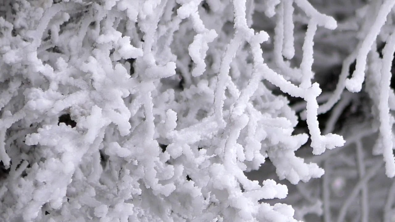 Freezing Fog