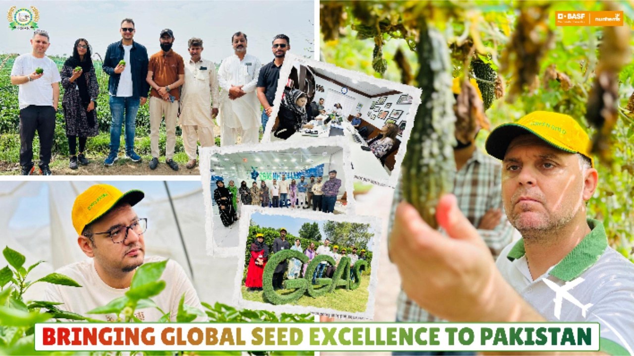 Green Gold x BASF Strengthening Global Partnerships for Seed Excellence in Pakistan! #viralvideos