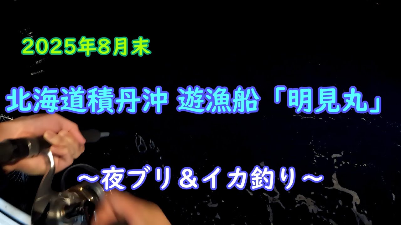 北海道積丹沖遊漁船「明見丸」夜ブリ＆イカ釣り（2025年08月末）