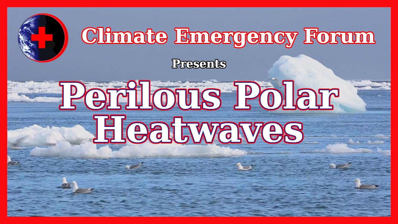 Perilous Polar Heatwaves