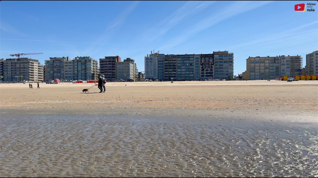 DE PANNE 🇧🇪 |  Strand  Zomer  / Plage de La Panne  | Belgique Bretagne Télé