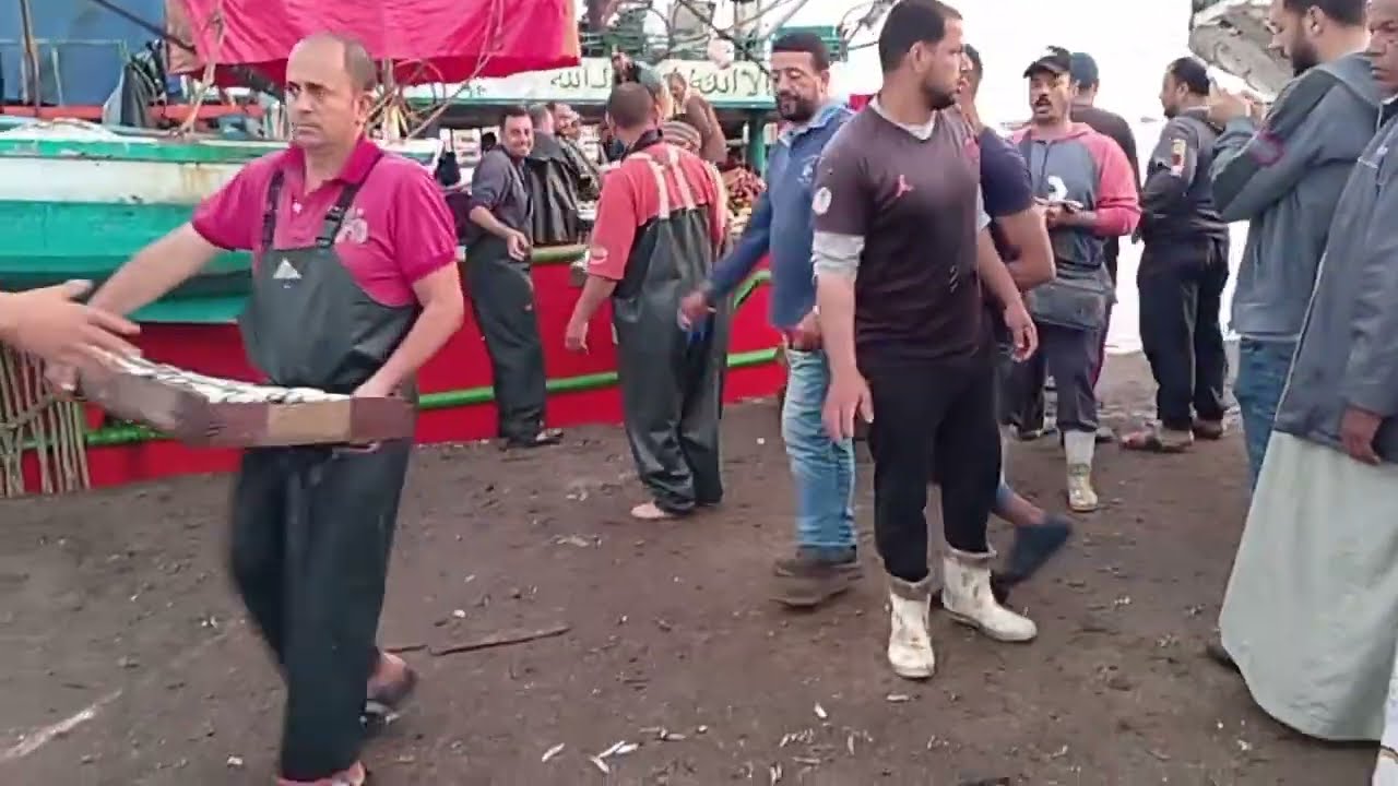 مزاد البرلس شوف الناس عملت ايه اول مركب الصيد ما وصلت المينا سمكة البساريا هتجنن الناس بالمينا