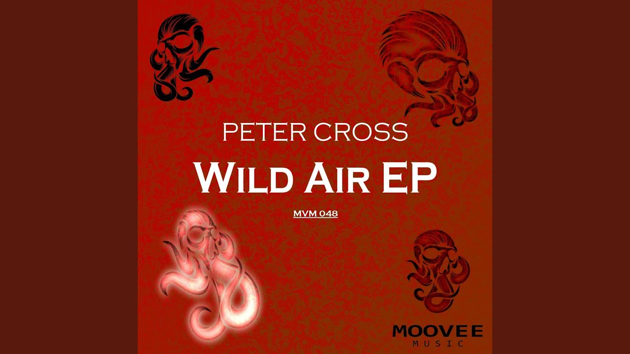 Wild Air (Original Mix)