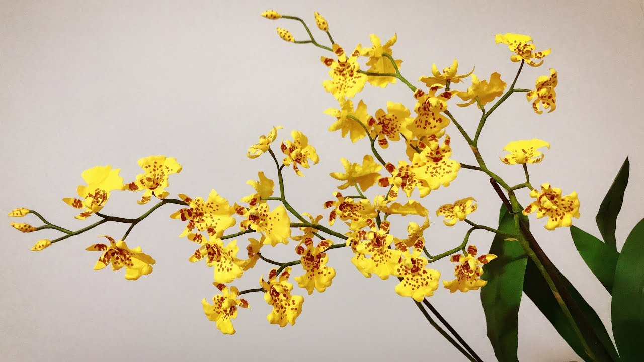 ABC TV | Как сделать цветок орхидеи из онцидиума | Flower Die Cuts - Учебное пособие по ремеслу