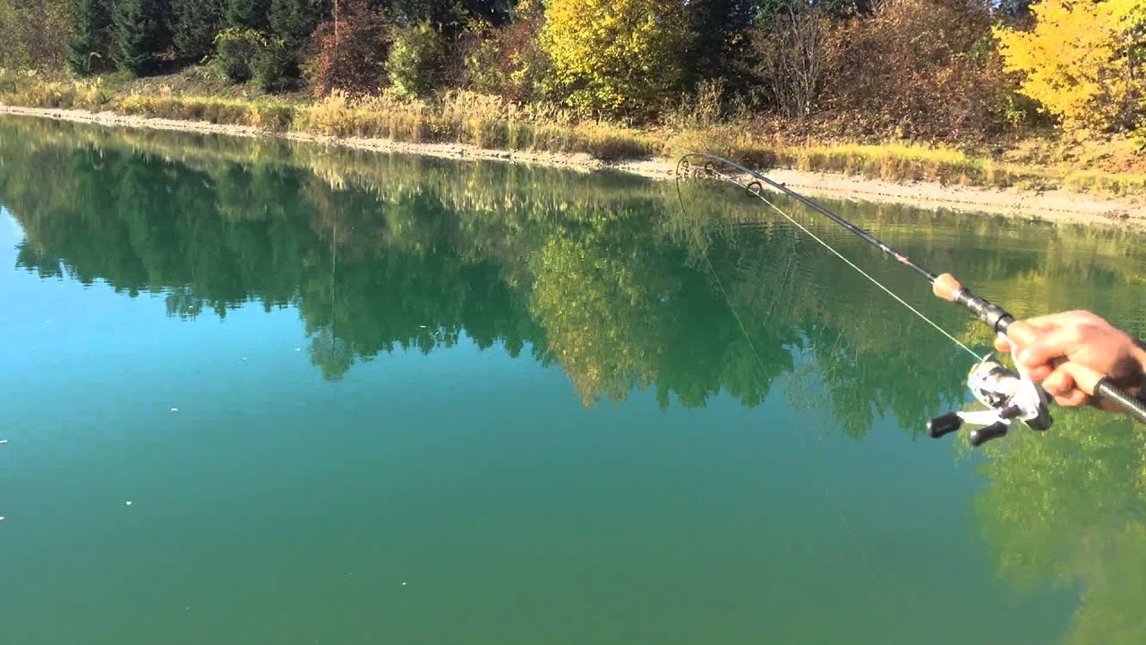 KARPFEN ANGELN AUF SICHT MIT SCHWIMMBROT