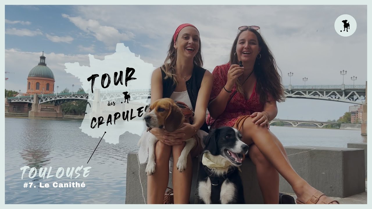 Tour des crapules #7 Le Canithé Toulouse