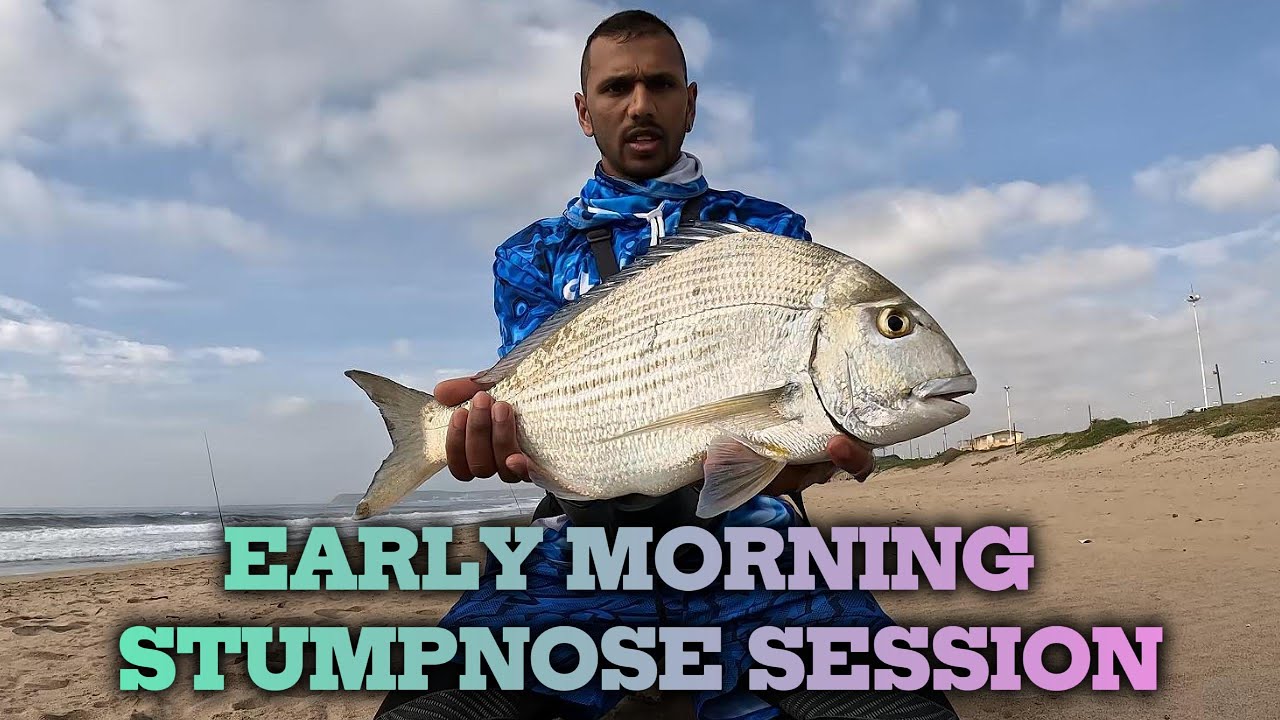 EARLY MORNING STUMPNOSE SESSION...