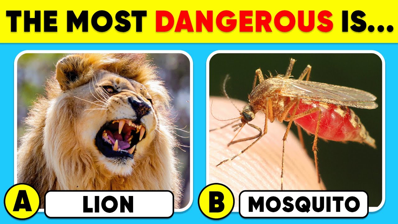How Good Is Your Knowledge of ANIMALS? 🦁🦟✅ General Knowledge Trivia Quiz