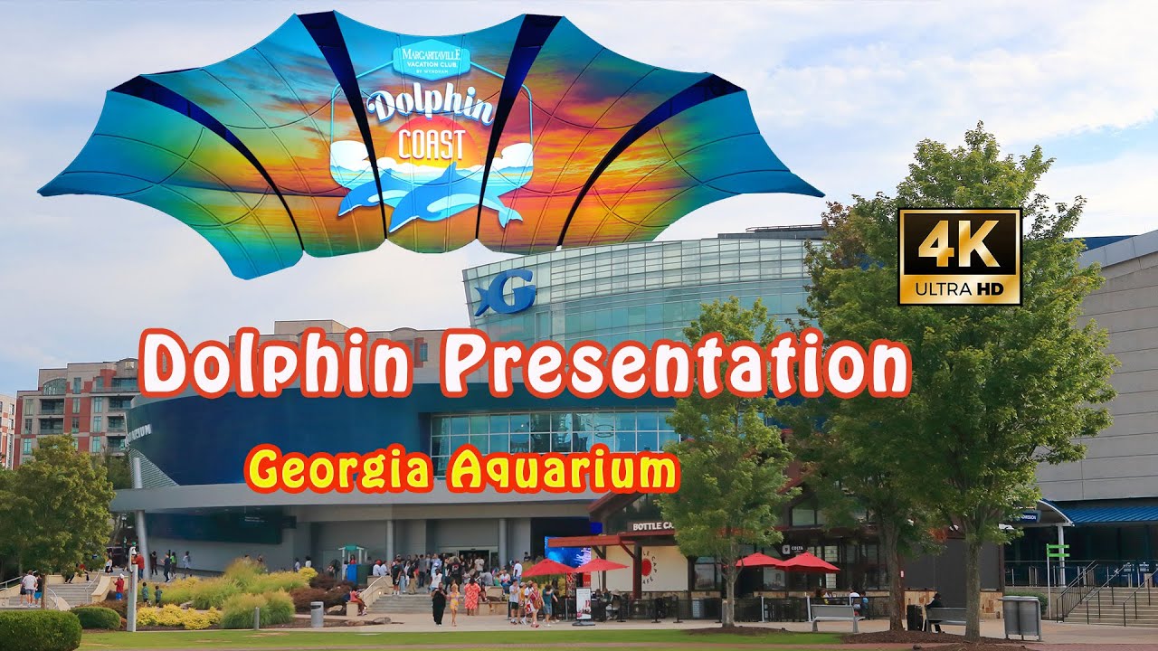 4K | AMAZING Dolphin Presentation | Georgia Aquarium Day Trip 精彩海豚表演 | 喬治亞水族館一日遊