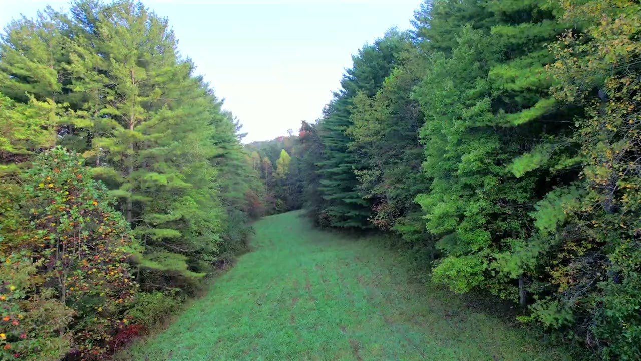 11798 Elbert Sheppard Video